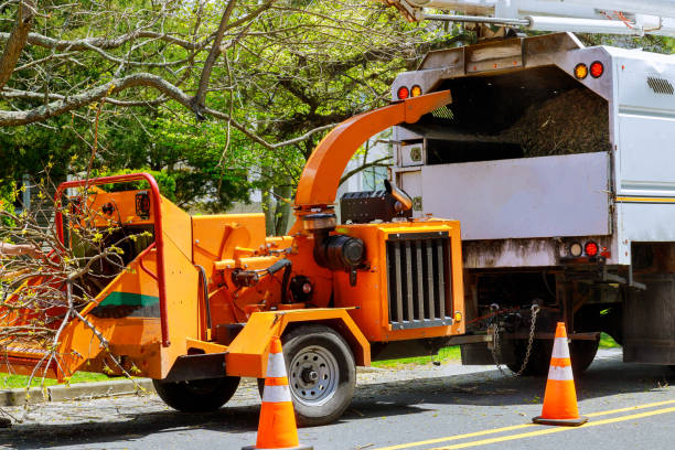 Seasonal Cleanup in Tipton, MO